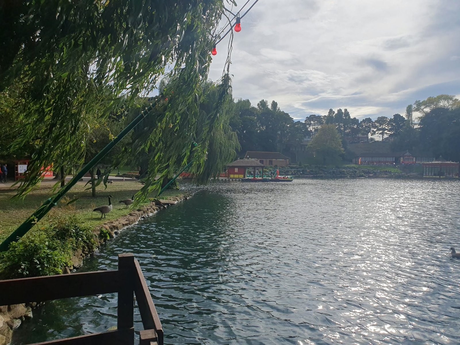 Peasholm Park lake